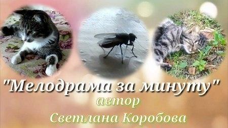 Мелодрама за минуту