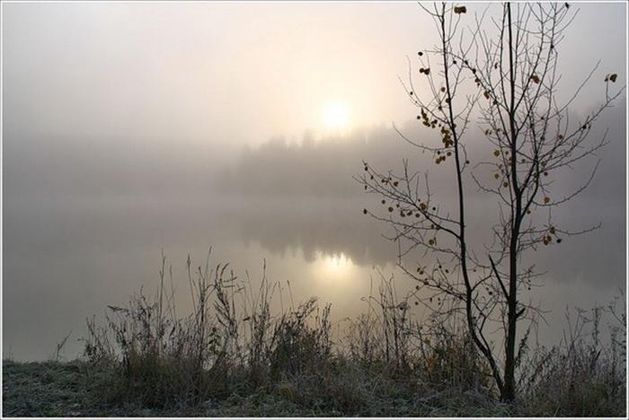 Туманное утро