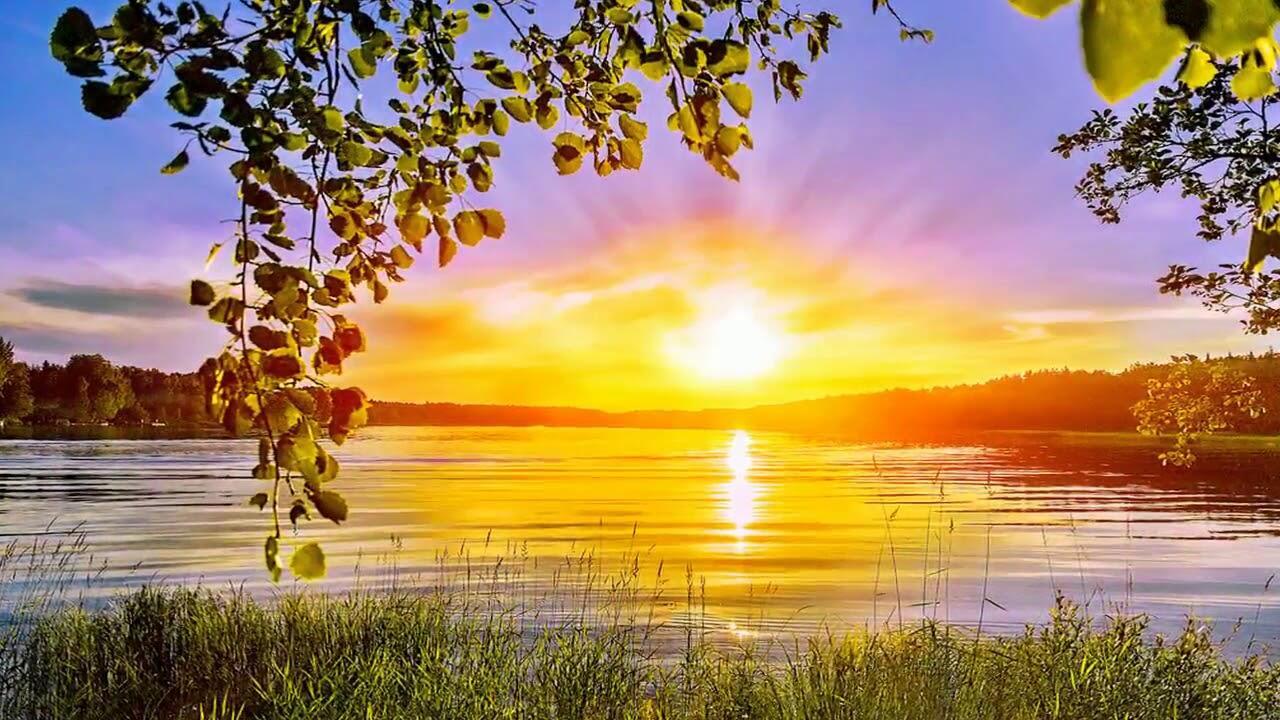 А синица осталась…