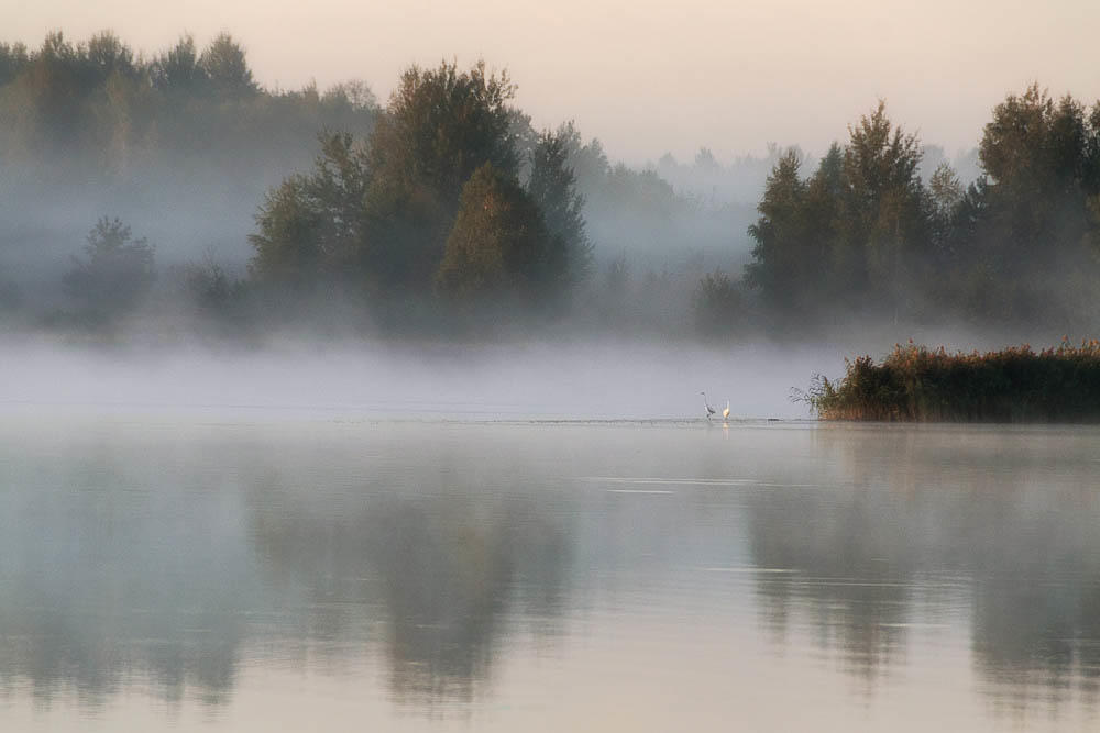 Дымка над. Туман над водой. Туман стелется по воде. Туман (дымка) над водой. Дым над водой.