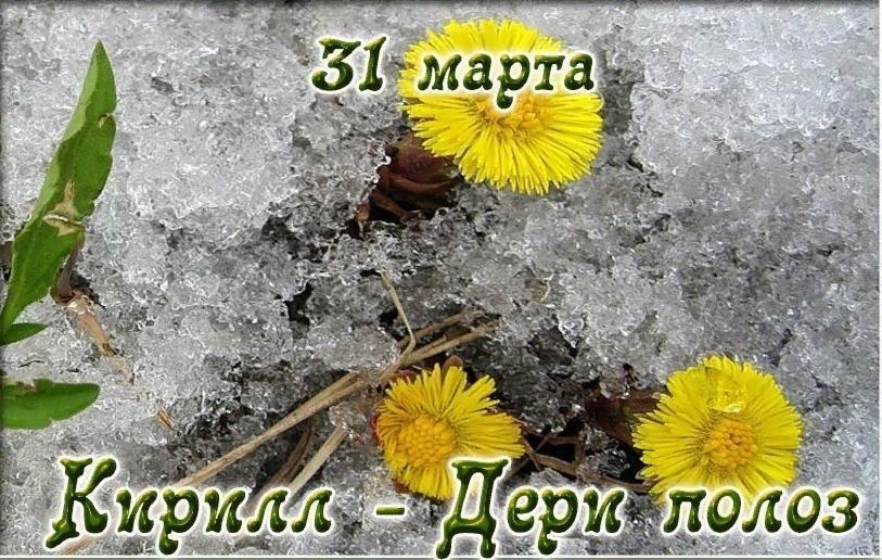 31 МАРТА - Кирилл – Дери полоз - ( если интересно )