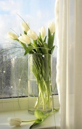 Весну никто не отменял