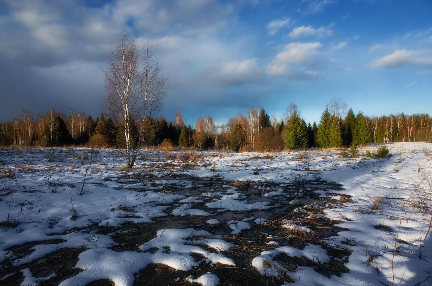 ПРОЩАЛЬНЫЙ ВИД