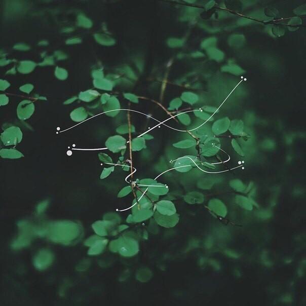 Линиями тонкими