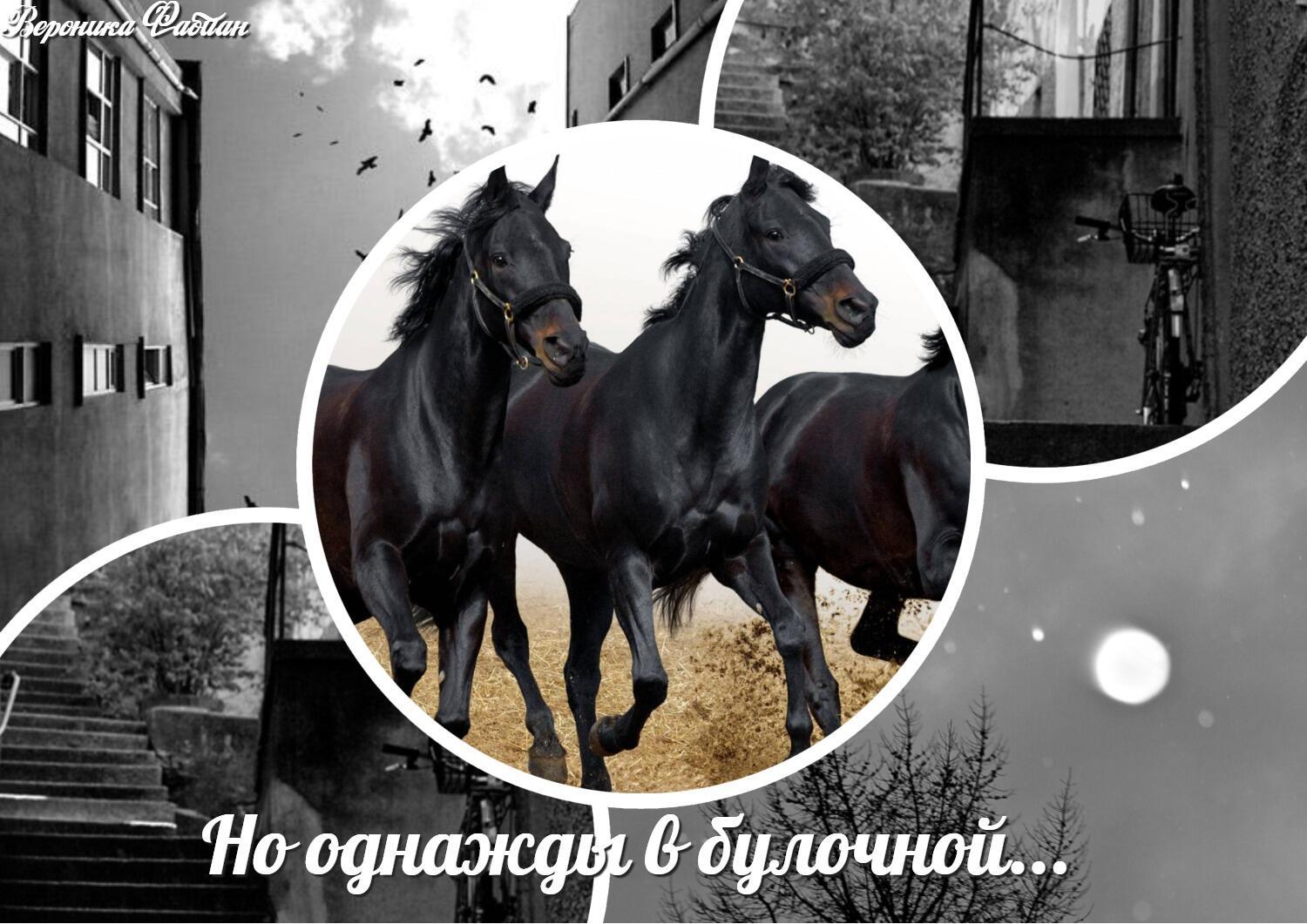 Но однажды в булочной... Шуточно-ироничное