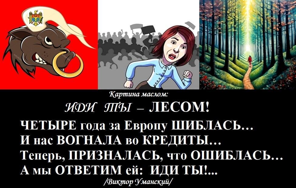 =Политическая ЭПИТАФИЯ для Майи Санду=