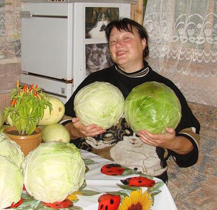  1. НА  ПРИВОЗЕ.   СЕРИЯ "ШЁЛ  ЧЕЛОВЕК..."   ПРОЗА