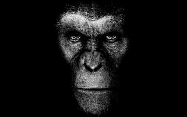Люди-обезьяны