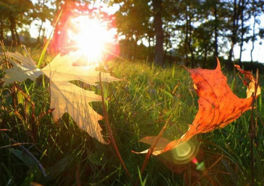 День первый сентября 