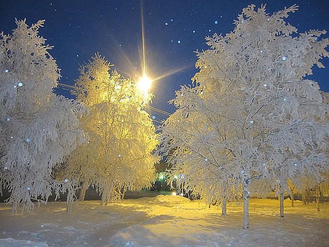 Прогулка