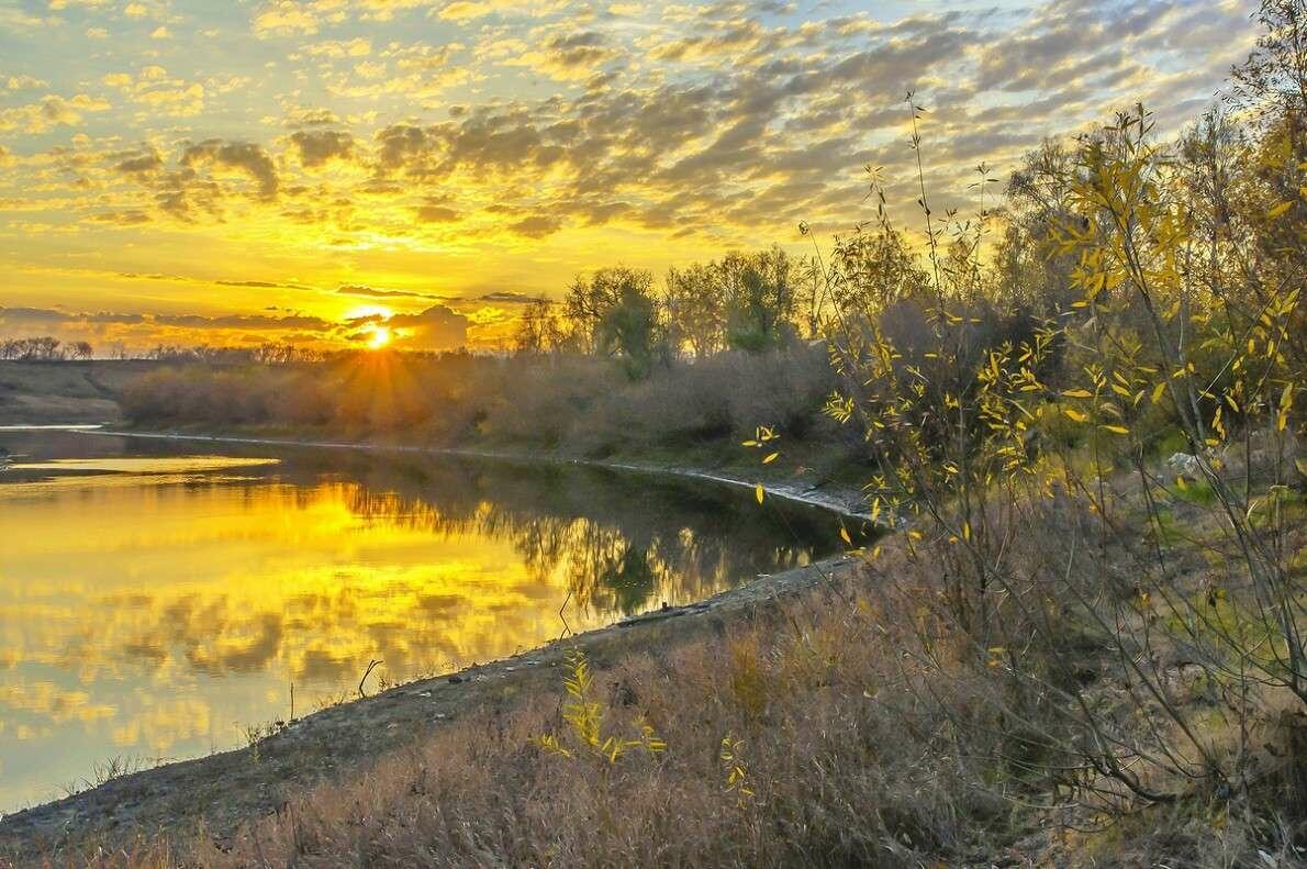 Ответ поэту - Александра Гритсан на произведение.