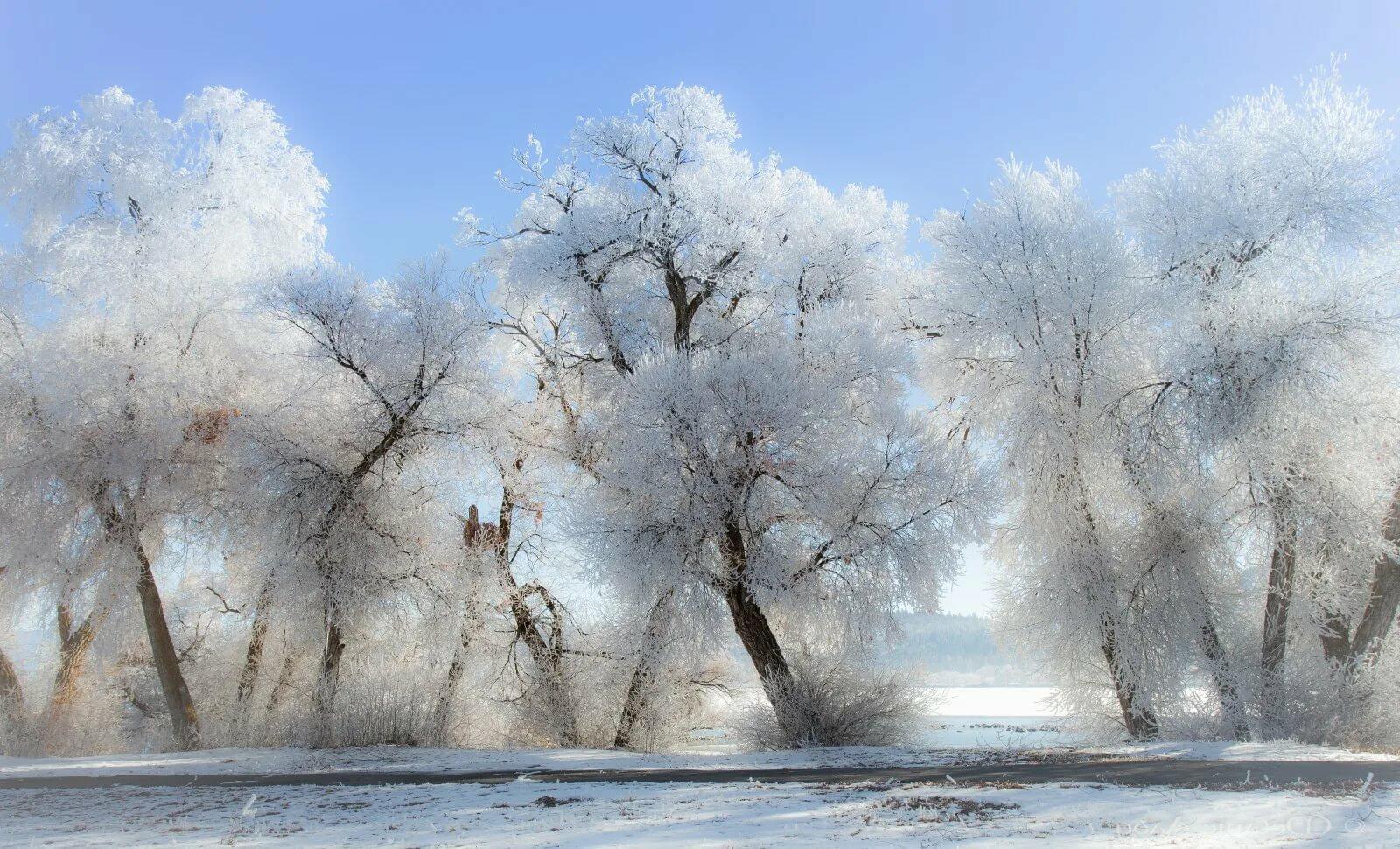 КРАСОТЫ  ЗИМНЕГО  ПЕЙЗАЖА