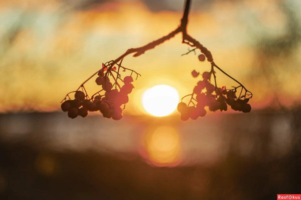 Осень. Утро.