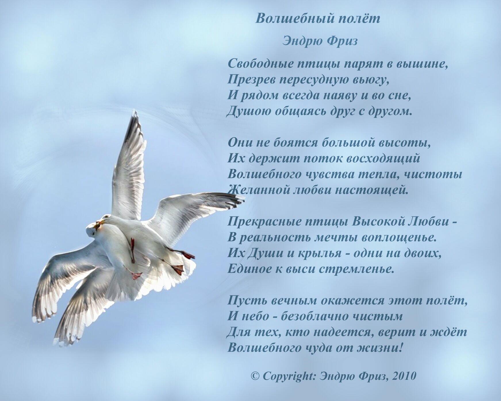 Я птицу счастья свою текст. Стихи. Стихи про полёт. Стихи о полете души. Стихи о полете и птицах.