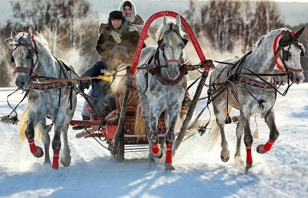 Тройка резвых