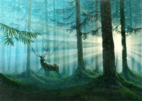 Благословляю этот мир