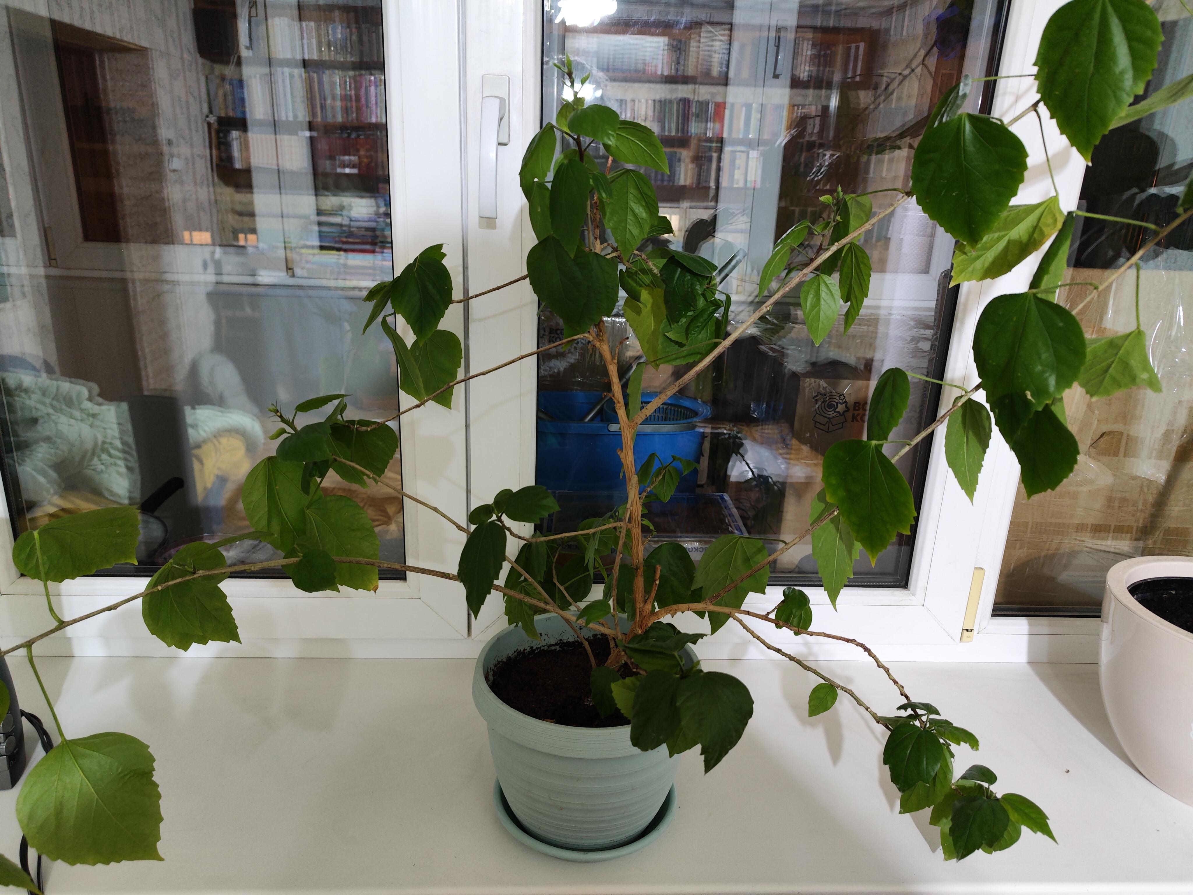 "Вернуться..." (15.03.2026)