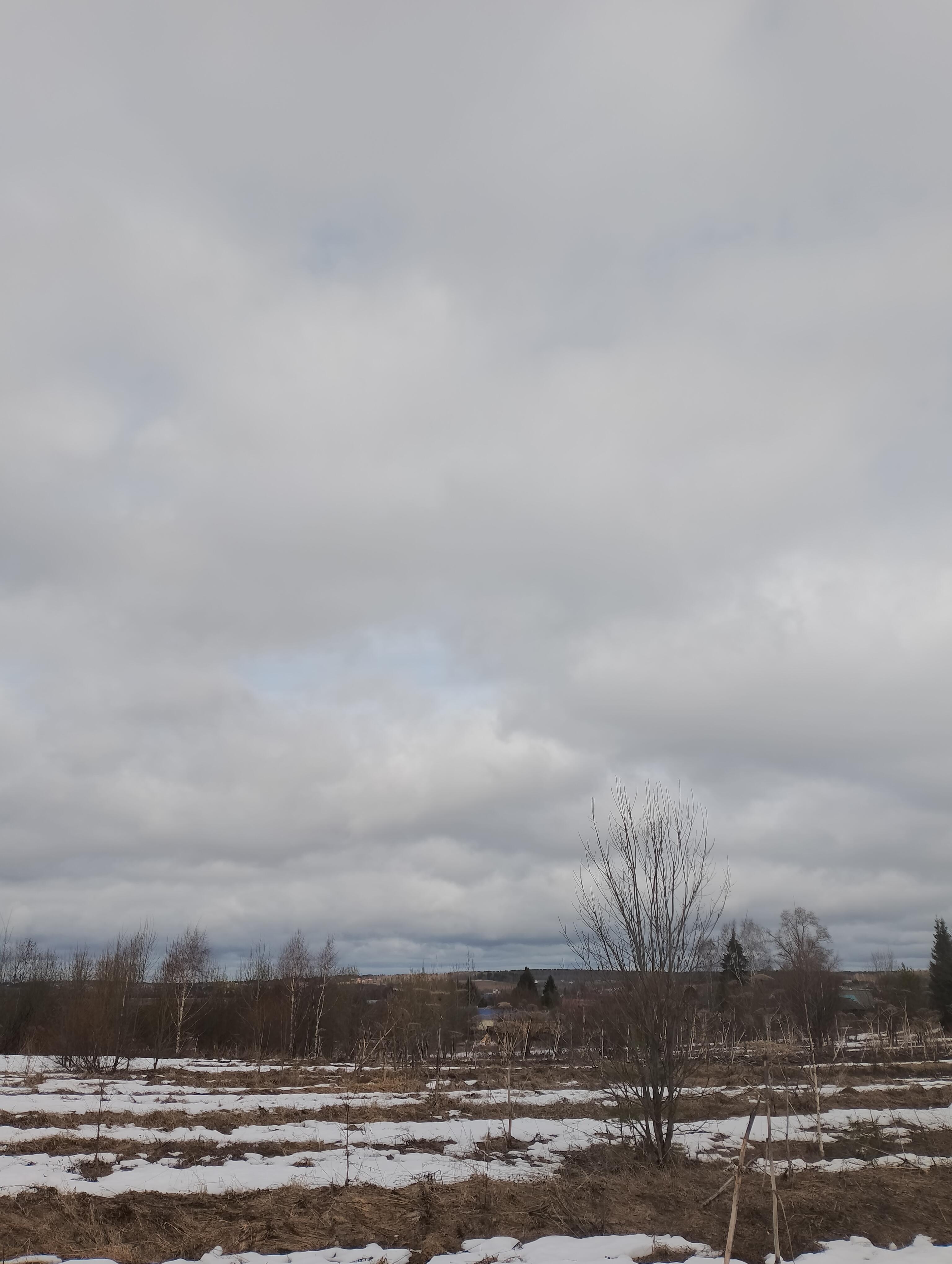 Впитала влагу Матушка - Земля