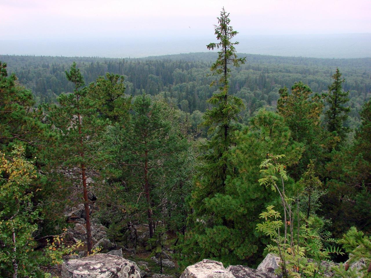 Уралочка,храни всё