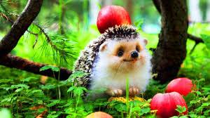 Благодарность Богу