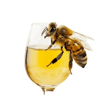 Филип Морен Френо " Медовой пчеле "