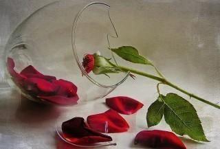 Взгляд любви оказался...