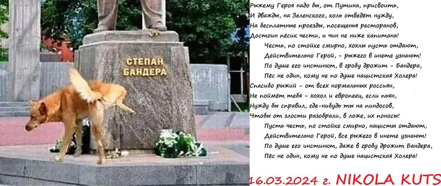 Пёс на Бандеру вновь поставил точку