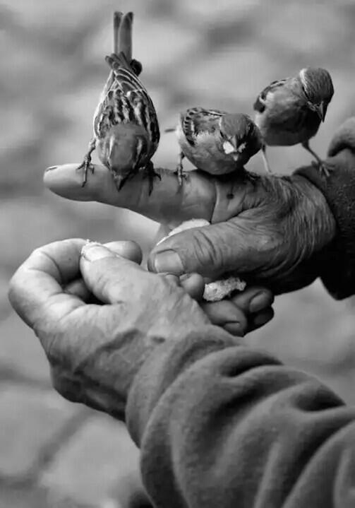 Нет отчаянью