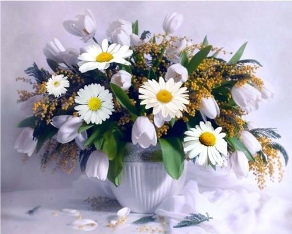 Ассорти цветов