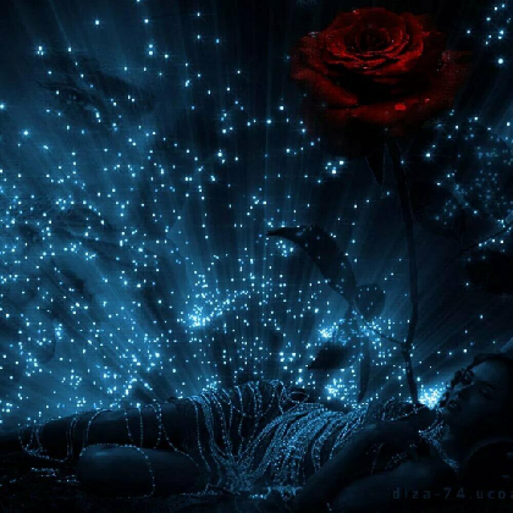 Мерцающие картинки ночь. Ночной цветок. Волшебные цветы ночь. Волшебные цветы и звезды. Ночные сказочные цветы.