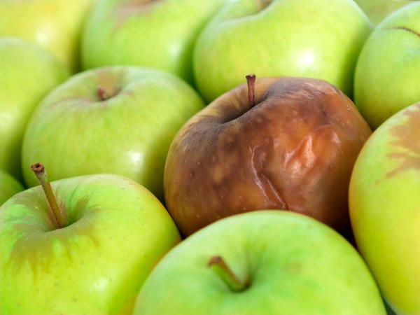 Удаляй гнилые яблоки
