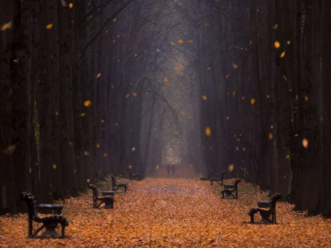 На улице тихо, безветренно, пусто...