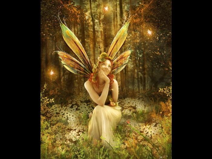 КОЛДОВСКОЙ  ЛЕС