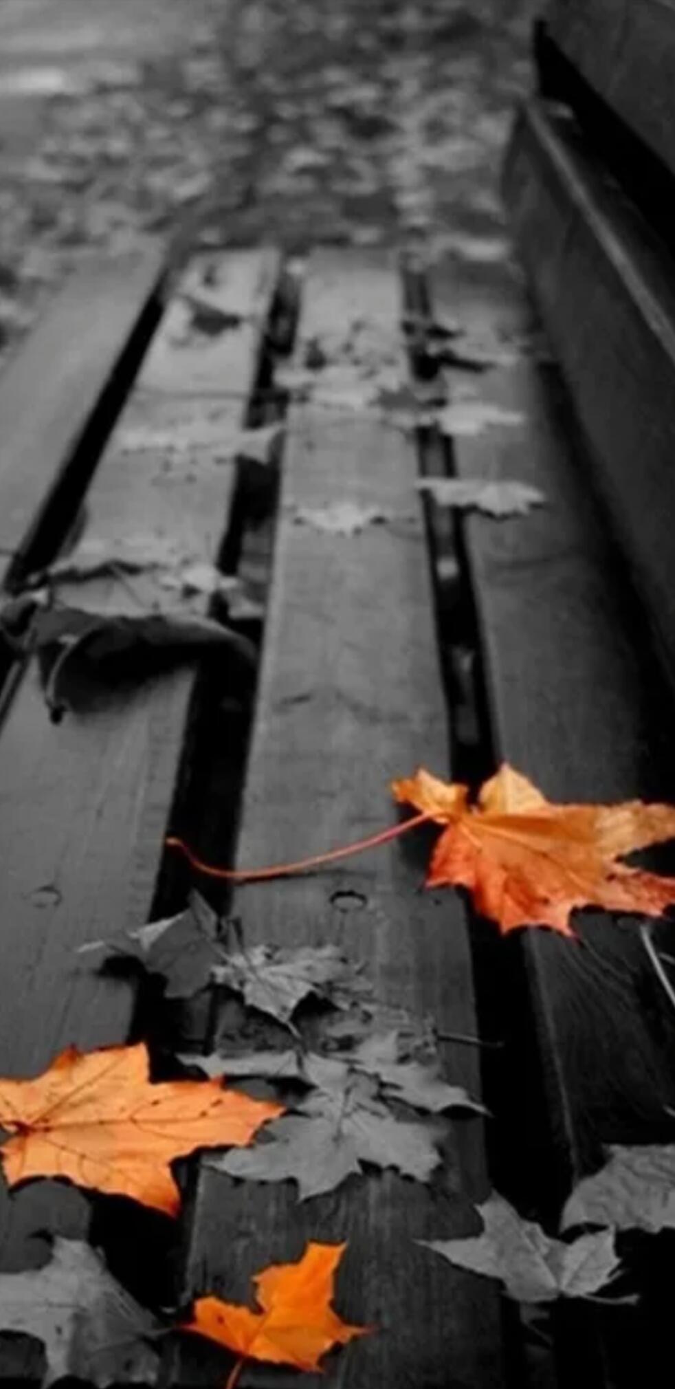 Не поёт душа