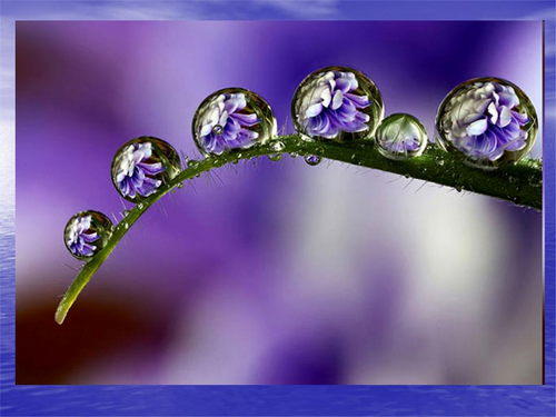 Пробуждение любви.