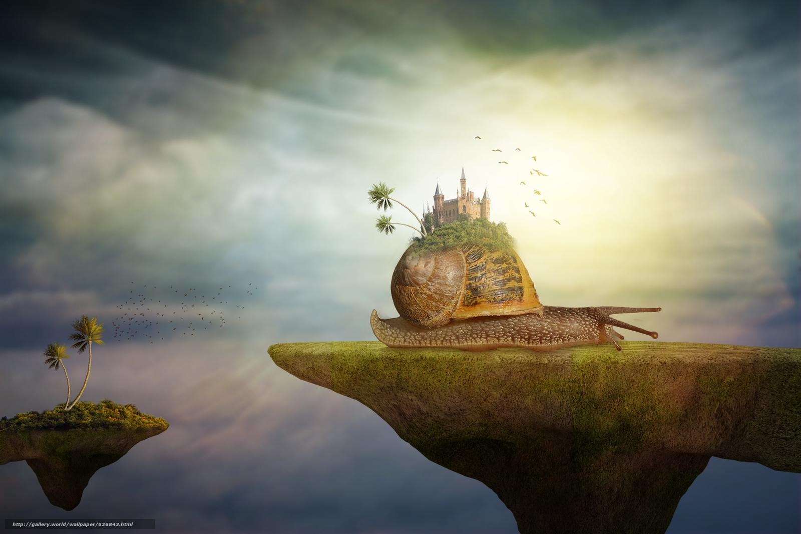 Субъективная объективность