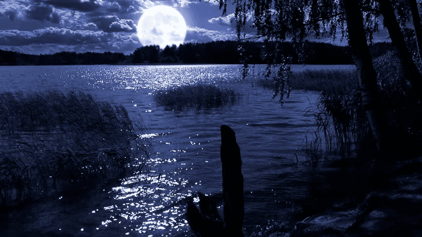 Ненаглядная