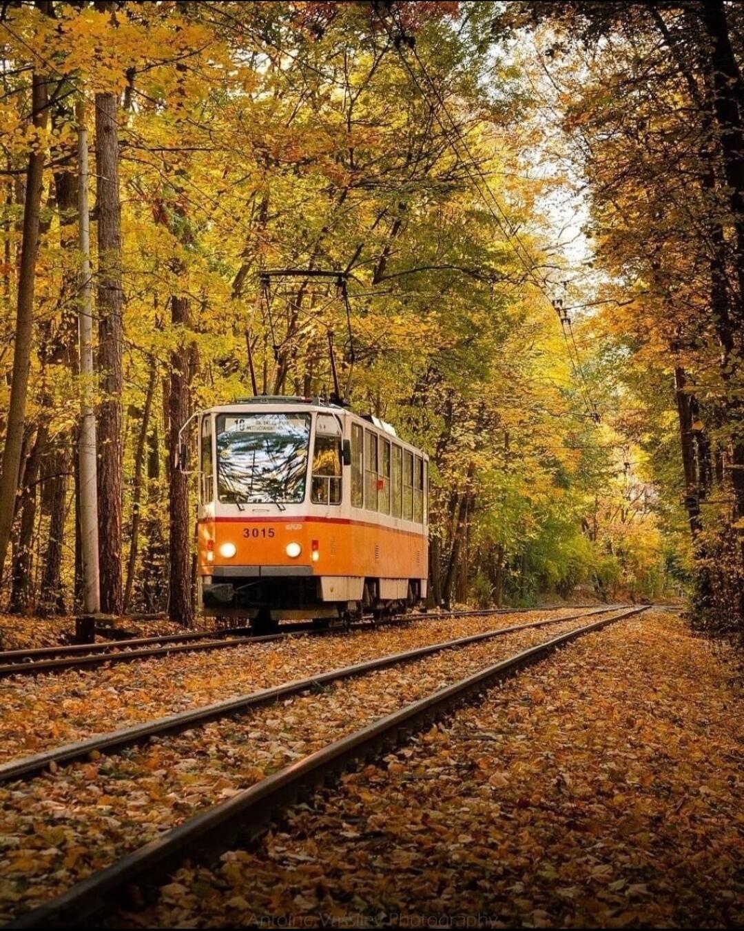 Осенний трамвай