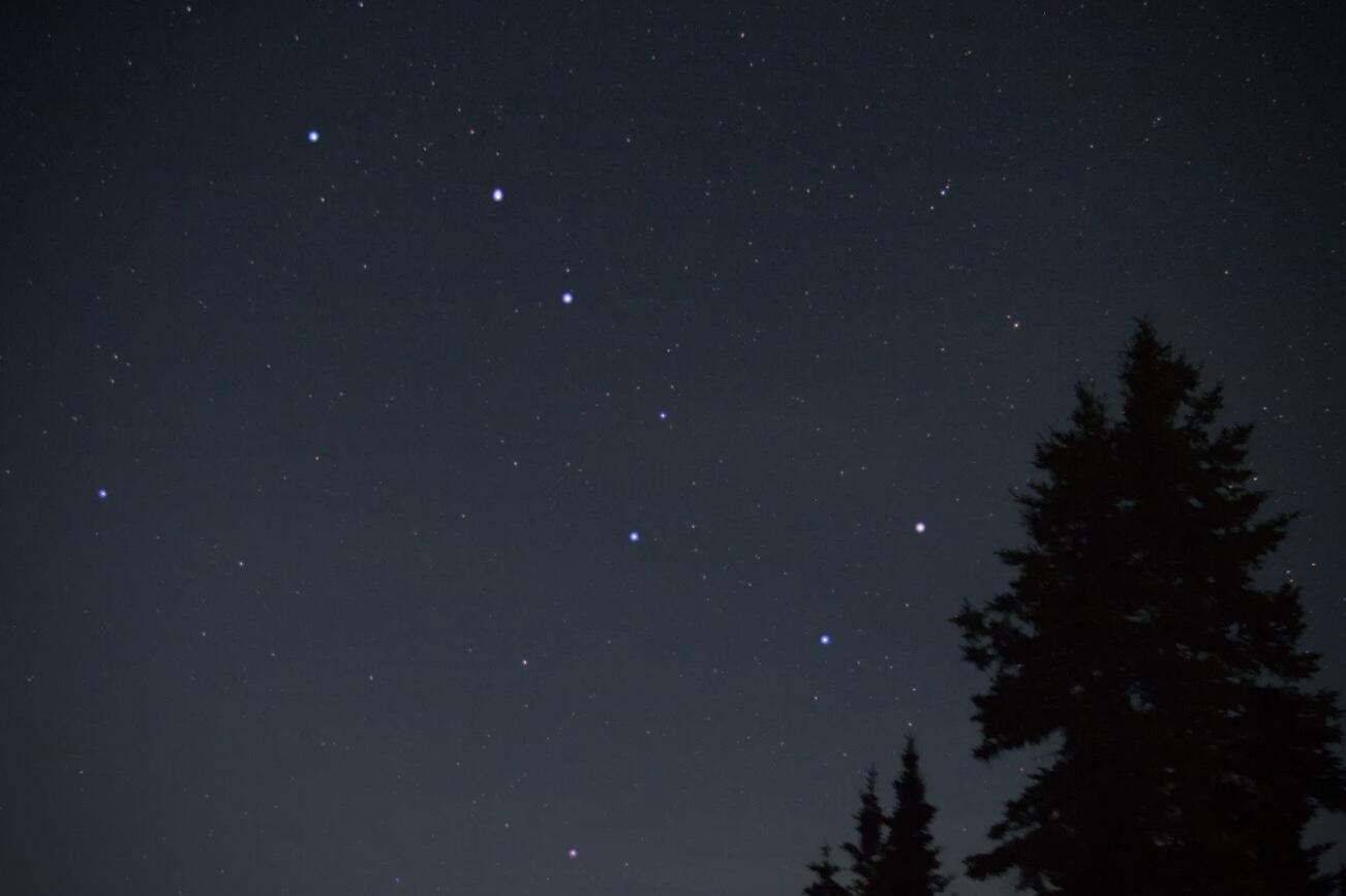 Большая медведица