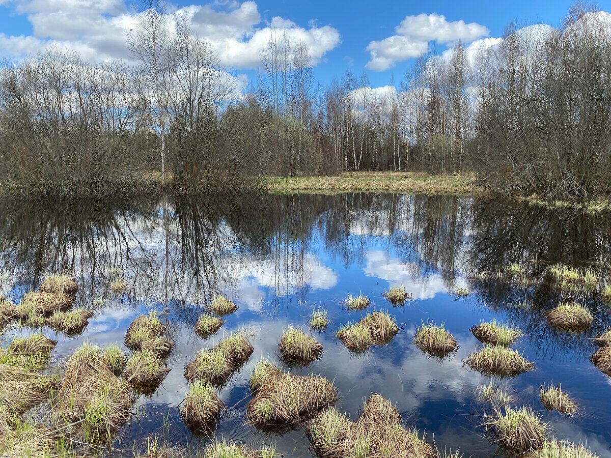 Весна на тонкости пера 