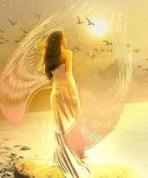 Сердце на ладони