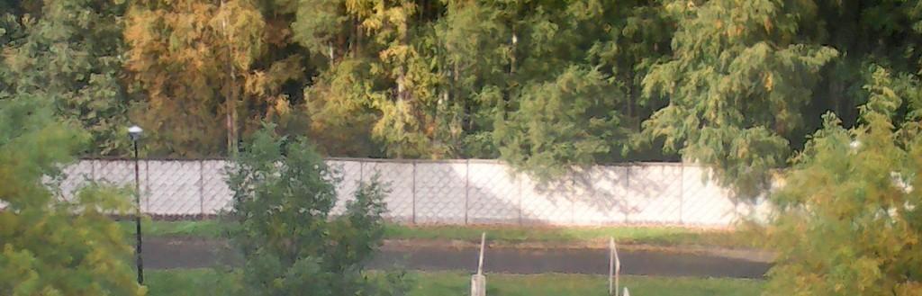 В тюрьму я хотела когда-то