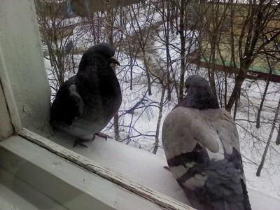 « Храни молчание, любя…»