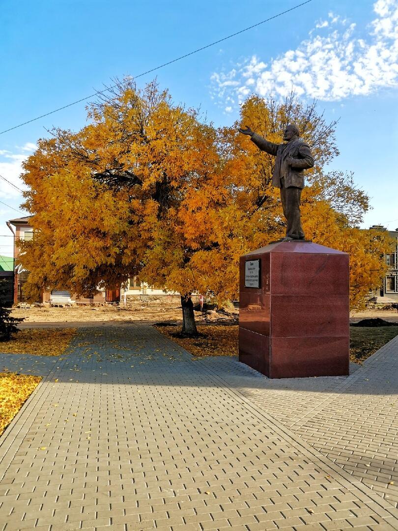 Красная,осенняя листва...