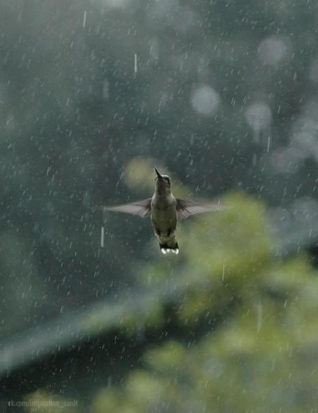 Не сдавайтесь