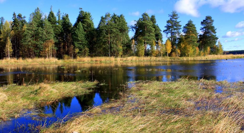 Доктор осень