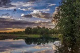 Снова зеленеет роща у реки