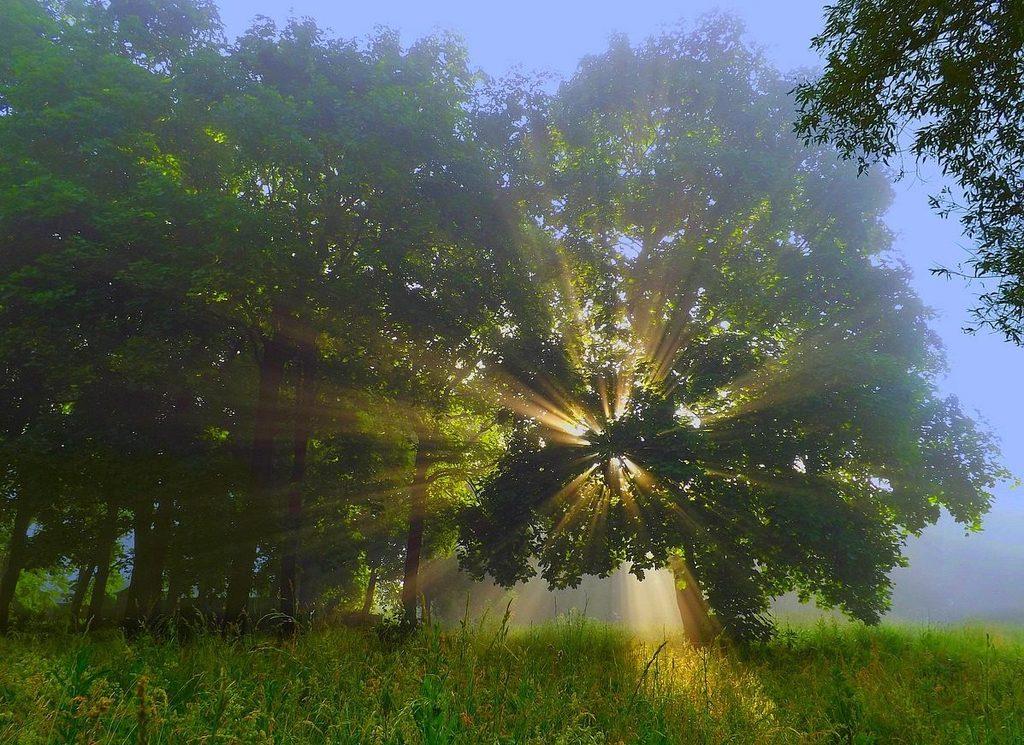 ДО ЧЕГО ЖЕ ТЫ, ЖИЗНЬ, ХОРОША!