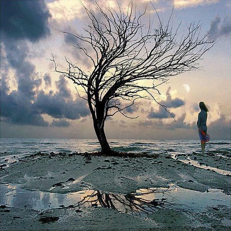 Наедине с весной