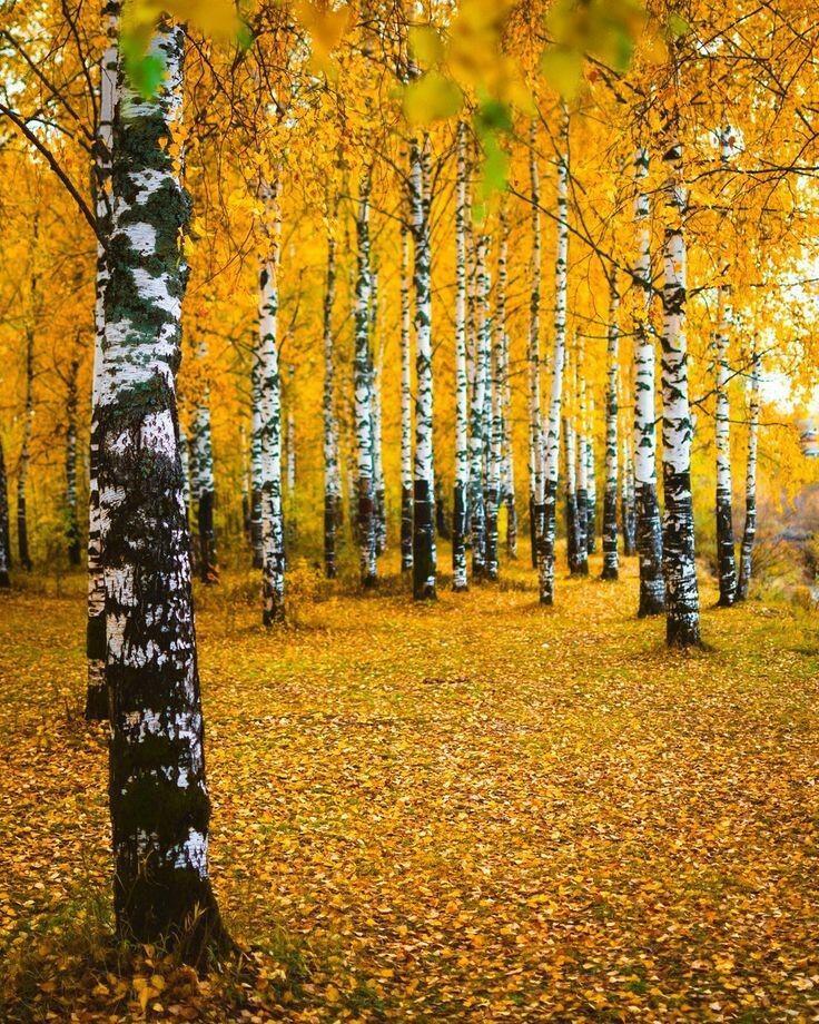 Затерялся ветер